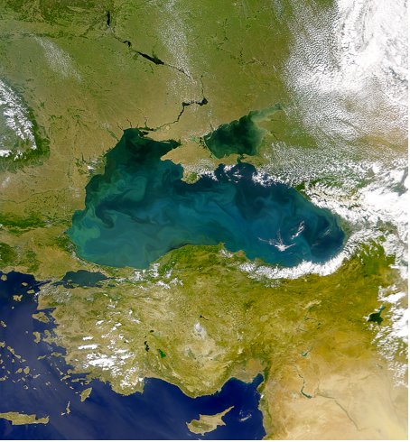 Nitrogen Cycling in the Black Sea