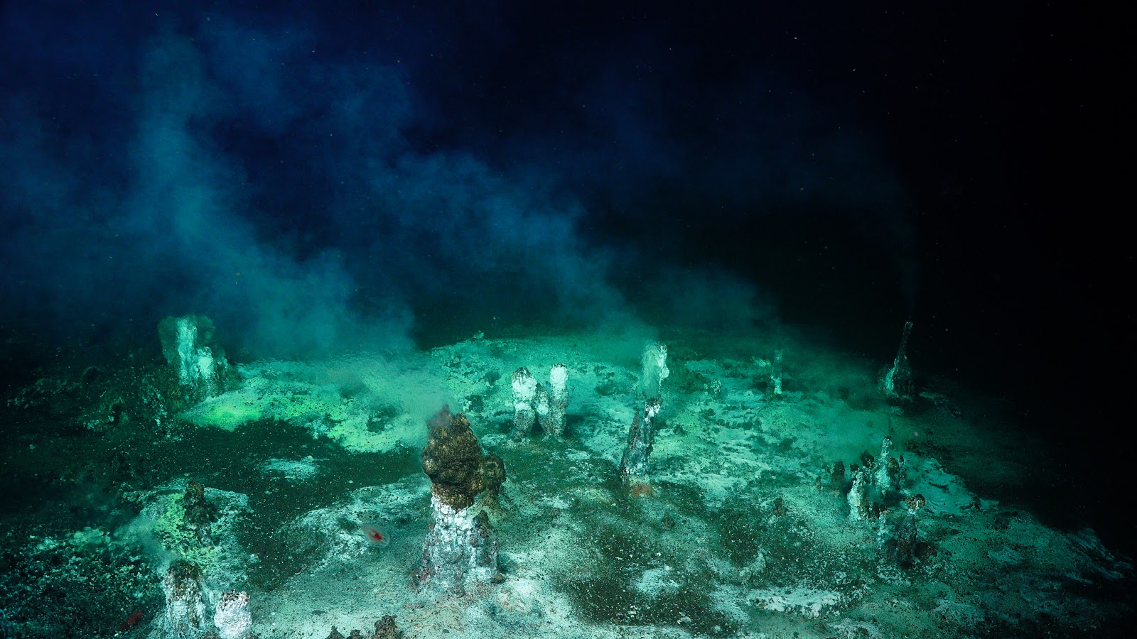 A wide view of a field with a number of areas of diffuse flow, some noted by several small (<1m tall) chimneys. Picture: ROV SuBastian / SOI