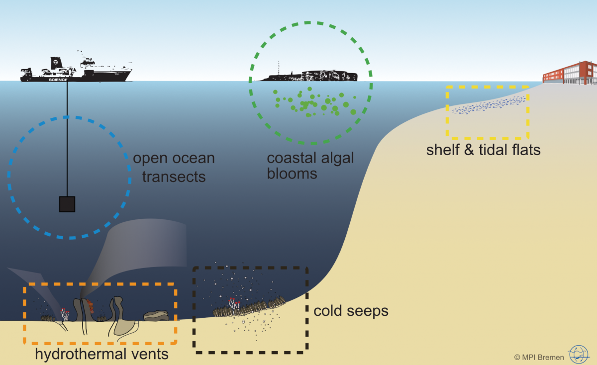 Research Areas of the Molecular Ecology Group Research Areas of the Molecular Ecology Group