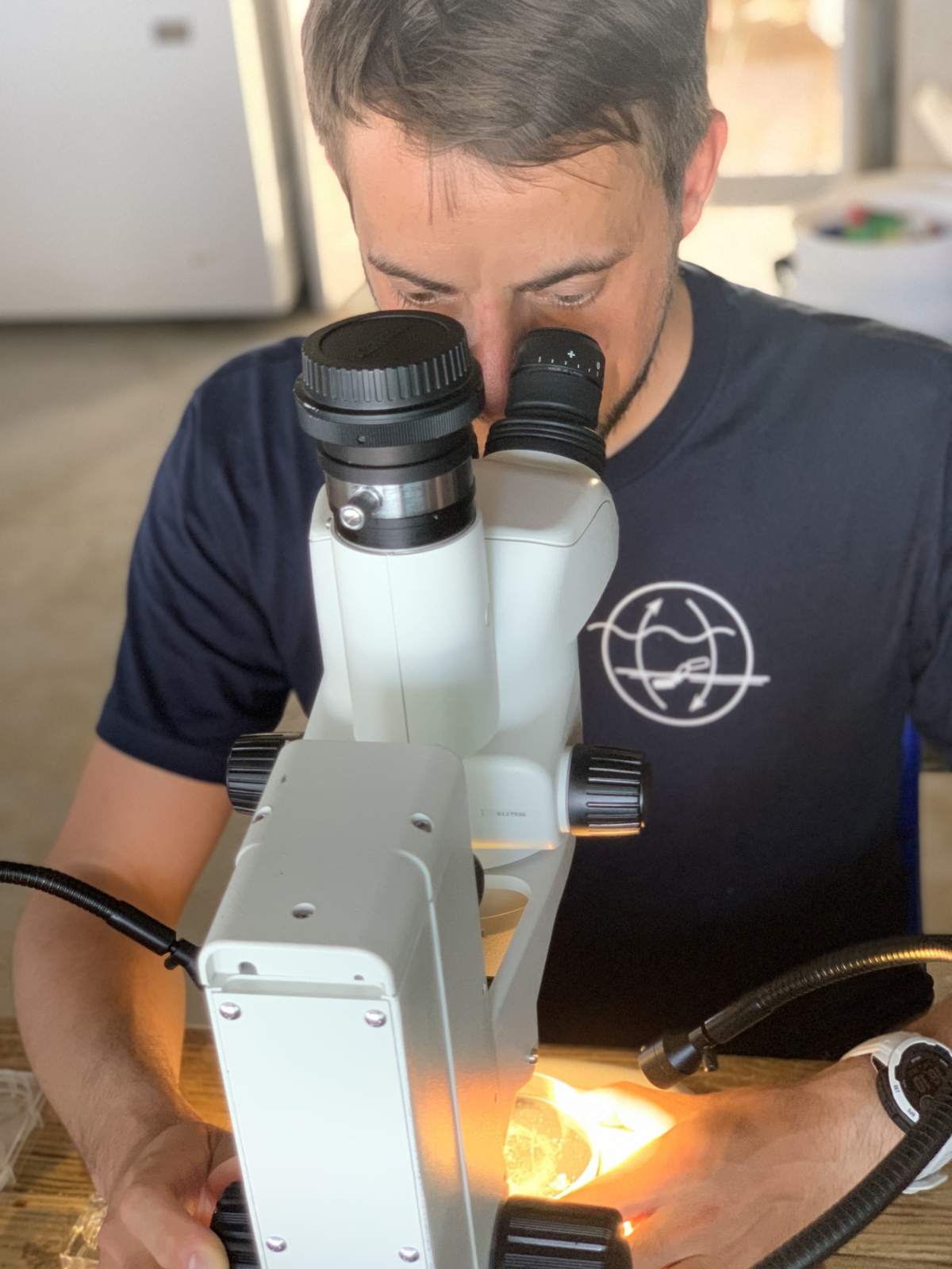 Sorting samples in the wet-lab