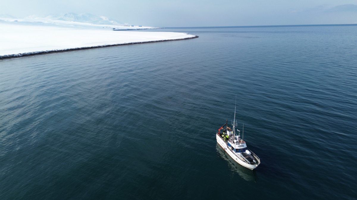 Probenahme in der Arktis: Im Mai 2023 waren die Forschenden zum bislang letzten Mal in Svalbard, um Messungen vor Ort durchzuführen und Proben für die Erforschung des bakteriellen Kohlenstoffumsatzes im arktischen Meeresboden zu sammeln. (© F. Aspetsberger/Max-Planck-Institut für Marine Mikrobiologie)