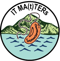 ItMatters logo