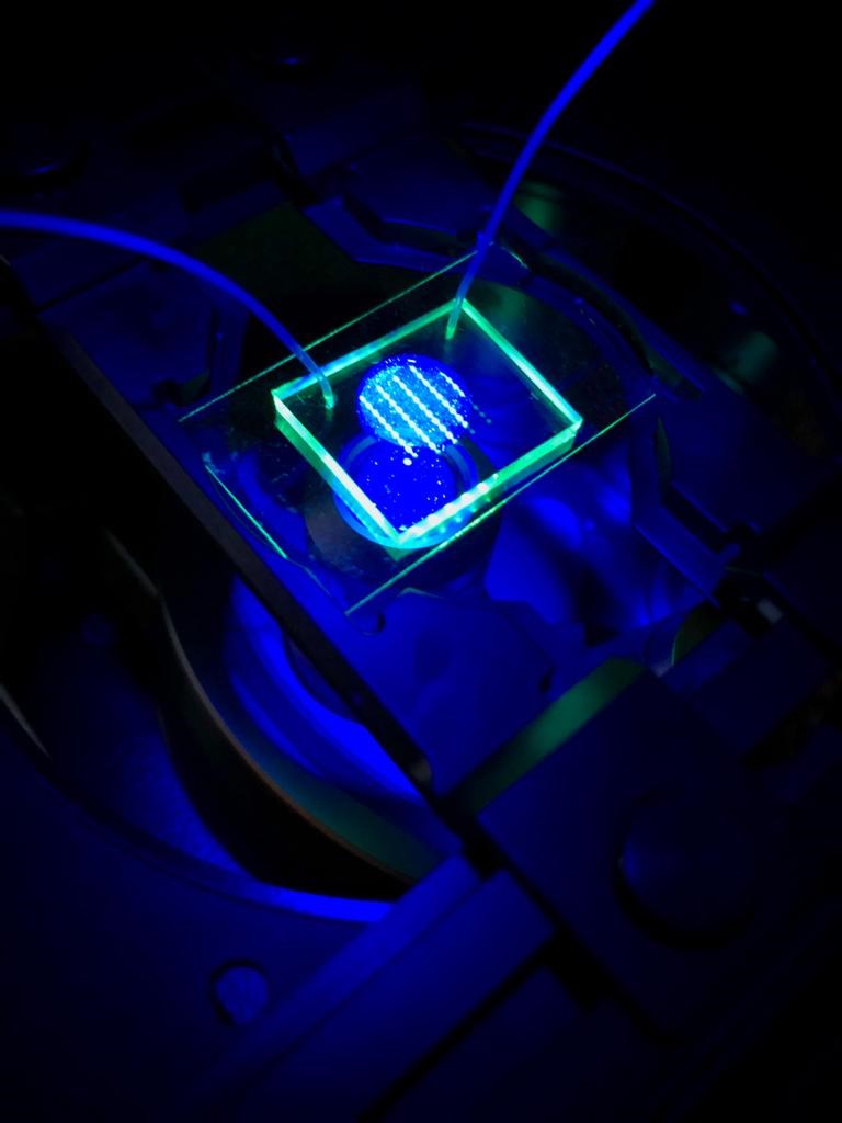 Microfluidic chip