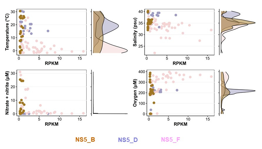 Niches of three NS5 species Niches of three NS5 species