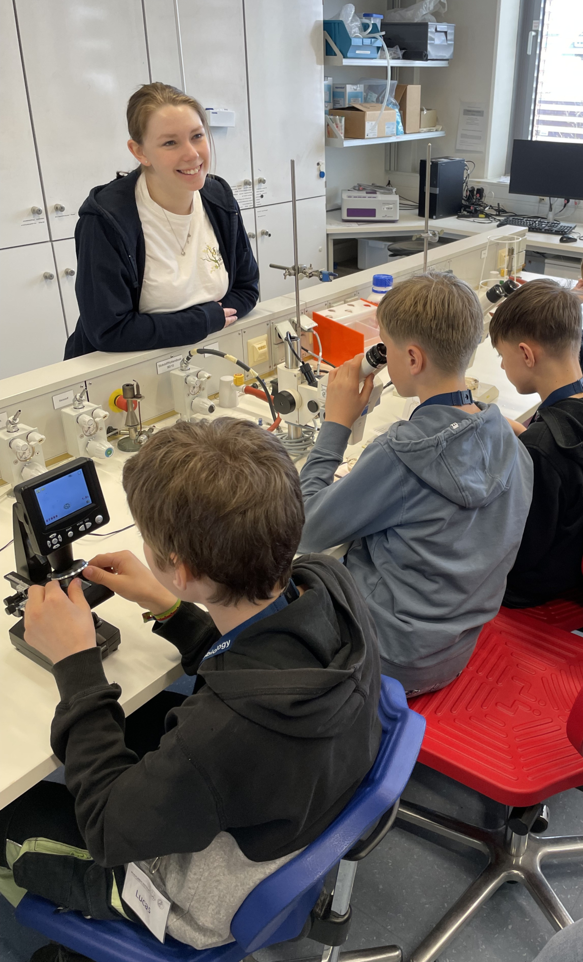 Analyse der Proben im Labor