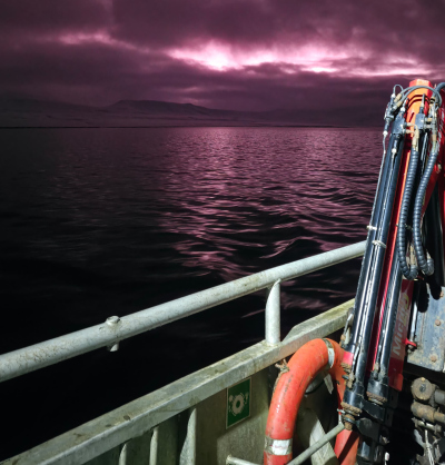 Nordlichter Über Svalbard