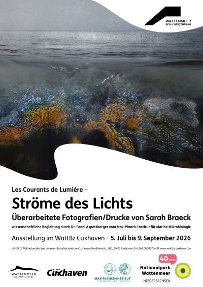 Ausstellung