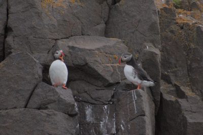 Svalbard