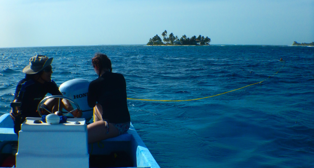 Forschung in Belize