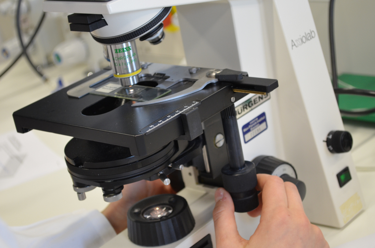 Mikroskopieren am Zukunftstag ©Max-Planck-Institut für Marine Mikrobiologie