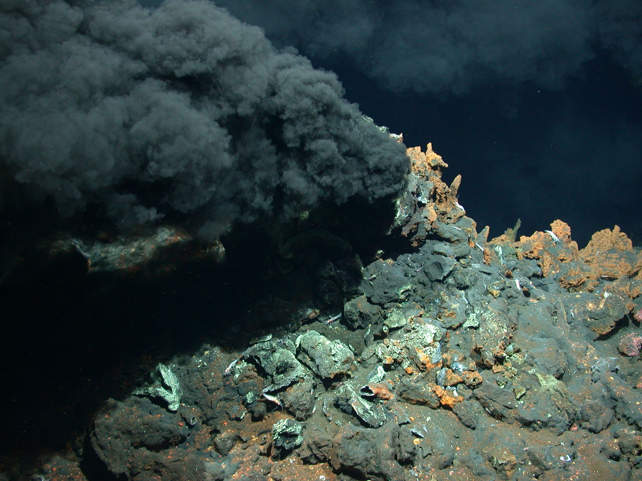 Aus diesem „Schwarzen Raucher“ am Mittelatlantischen Rücken in fast dreitausend Metern Wassertiefe haben die Wissenschaftler einen Teil der Proben entnommen. Quelle: MARUM − Zentrum für Marine Umweltwissenschaften, Universität Bremen.