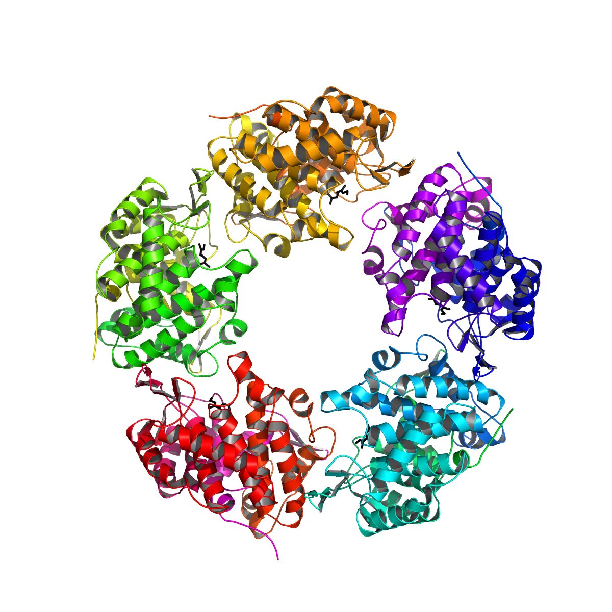 Struktur der Linalool Dehydratase/Isomerase