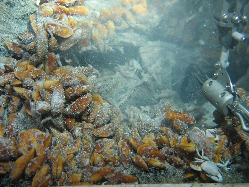 ROV Kiel 6000, GEOMAR ROV Kiel 6000, GEOMAR