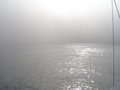 Morning fog in the Benguela Upwelling Morning fog in the Benguela Upwelling