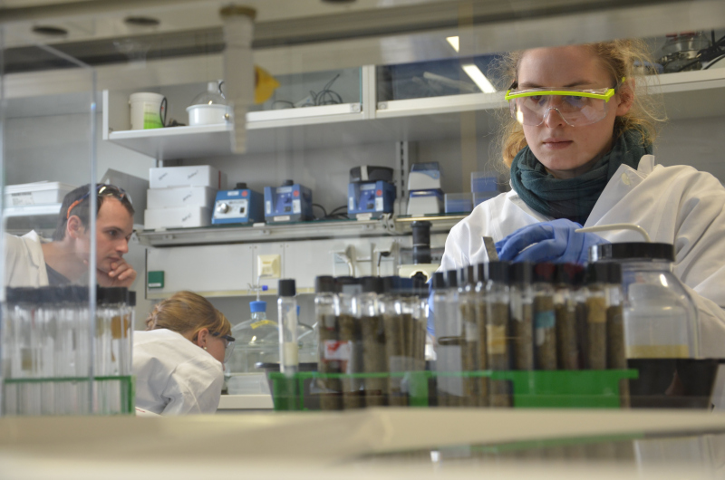 Laboratory assistant at the Max Planck Institute for Marine Microbiology
