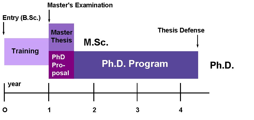 The MarMic structure