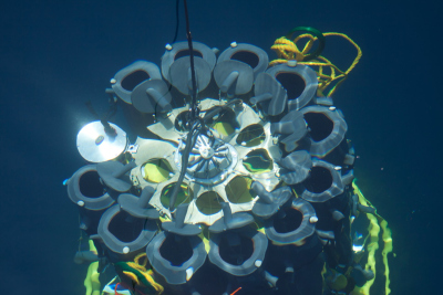 CTD Rosette CTD Rosette