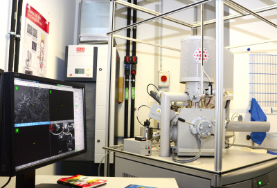 Environmental scanning electron microscope with EDX and SECOM detector (FEI Quanta 250 FEG) Environmental scanning electron microscope with EDX and SECOM detector (FEI Quanta 250 FEG)