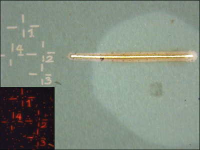 LMD marking on a polycarbonate filter (image source: Lu Lu) LMD marking on a polycarbonate filter (image source: Lu Lu)