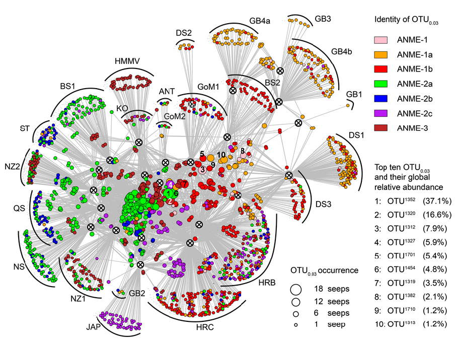 Network graph of 23 methane seeps based on occurrence of ANME Network graph of 23 methane seeps based on occurrence of ANME