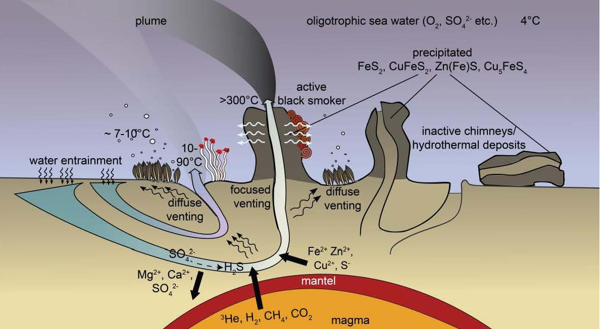 hydrothermal vent diagram