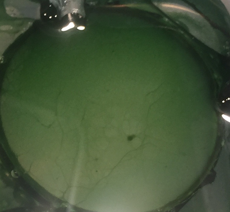Artificial soda lake biofilm