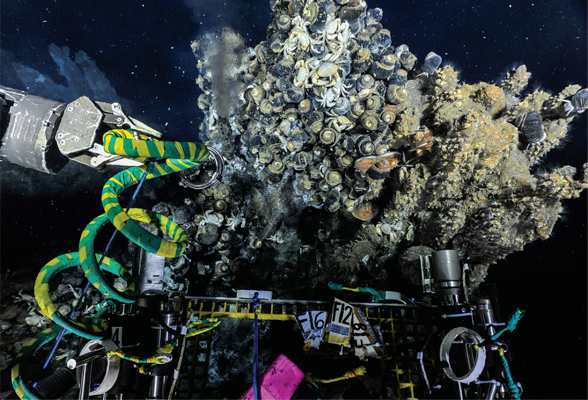 Deep-Sea Habitat Deep-Sea Habitat