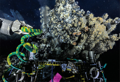 Deep-Sea Habitat Deep-Sea Habitat