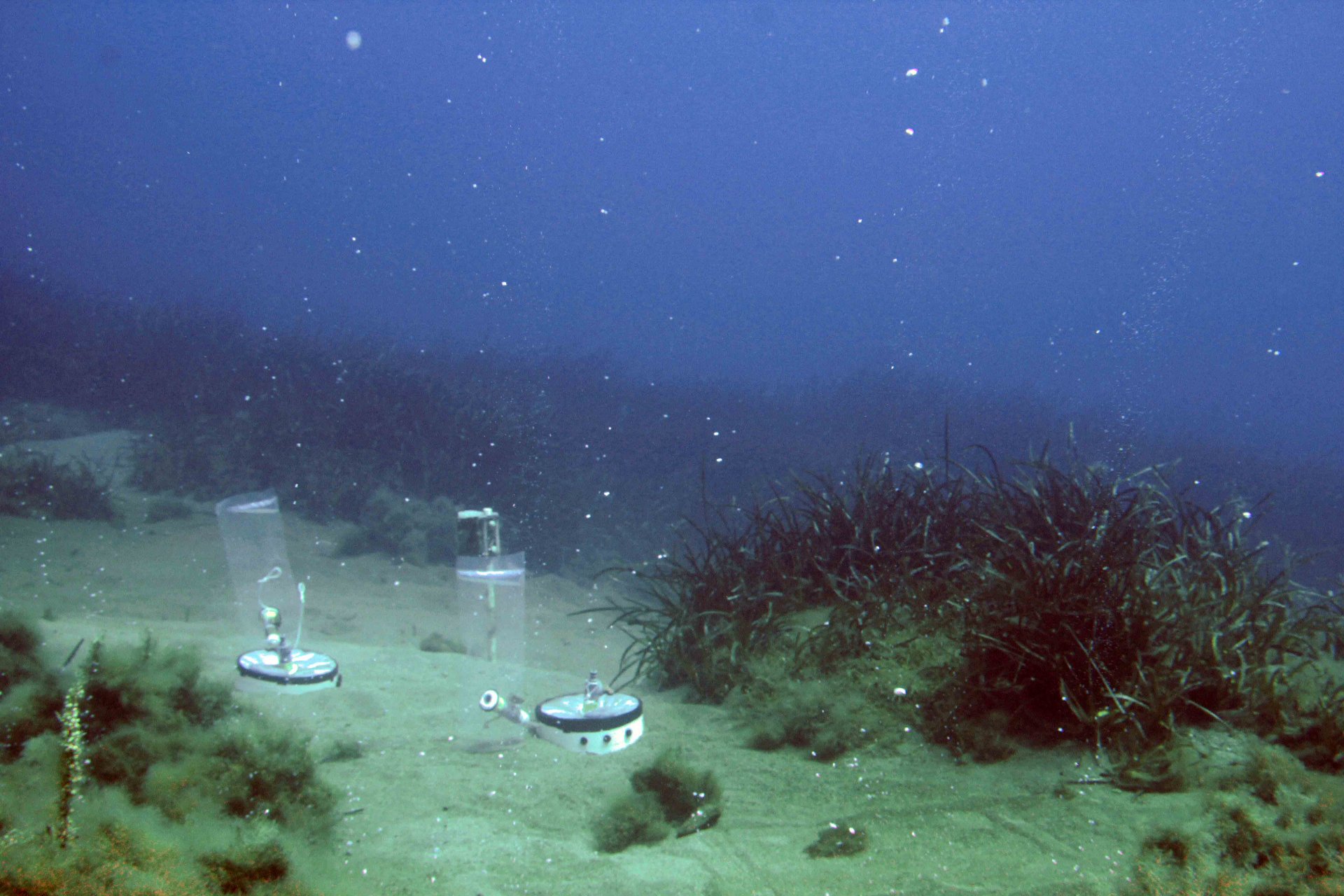 Natürliche CO2-Austritte vor der Küste von Panarea, Italien.