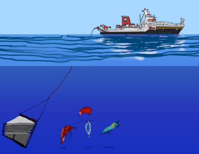 MOCNESS sammelt Zooplankton in verschiedenen Wassertiefen. (Skizze von M. Schlösser)