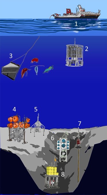 ©Sketch by Manfred Schlösser:The research vessel Sonne (1) and the equipment used for sampling the Atacama trench. CTD-watersampler (2), MOCNESS for sampling plankton from different depths (3), deep-sea profiling lander (4), Multicorer for sediment samples (5), Nano-Lander for hadal depths at more than 8000 meters (6), Gravity corer for long sediment cores (7),  sediment lander for in-situ measurement of biological activity at hadal depths (8). 