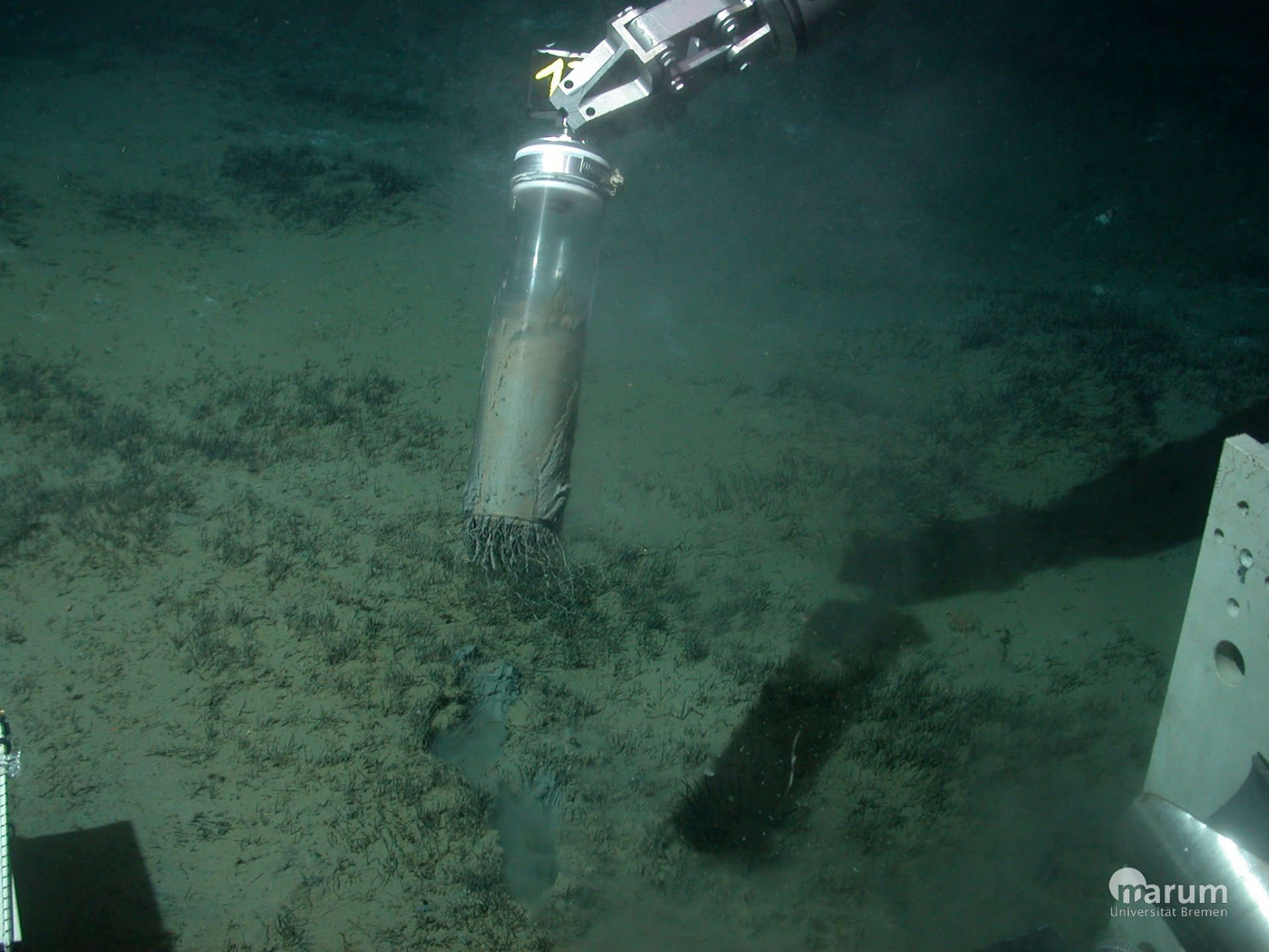 The submersible takes samples in the mud around Håkon Mosby mud volcano. With this tube so-called sediment cores can be taken, which allow an insight into the community of organisms on the surface and deeper in the sediment. (© MARUM – Centre for Marine Environmental Sciences, University of Bremen)