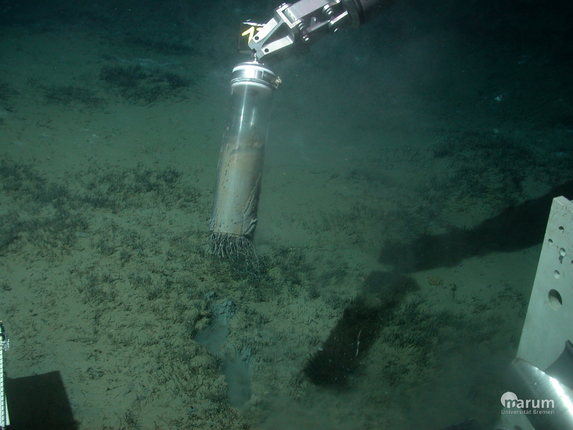 Der Tauchroboter nimmt Proben im Schlamm um den Håkon Mosby Schlammvulkan. Mit einem solchen Rohr können sogenannte Sedimentkerne entnommen werden, die einen Einblick in die Lebensgemeinschaft an der Oberfläche und auch tiefer im Sediment erlauben. 