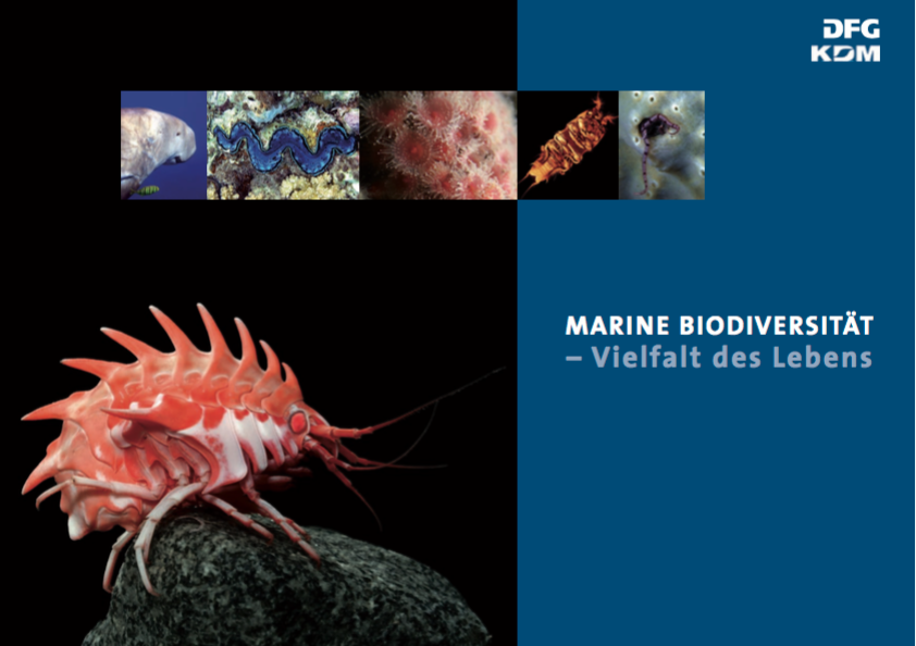 Marine Biodiverstität – Vielfalt des Lebens - Cover