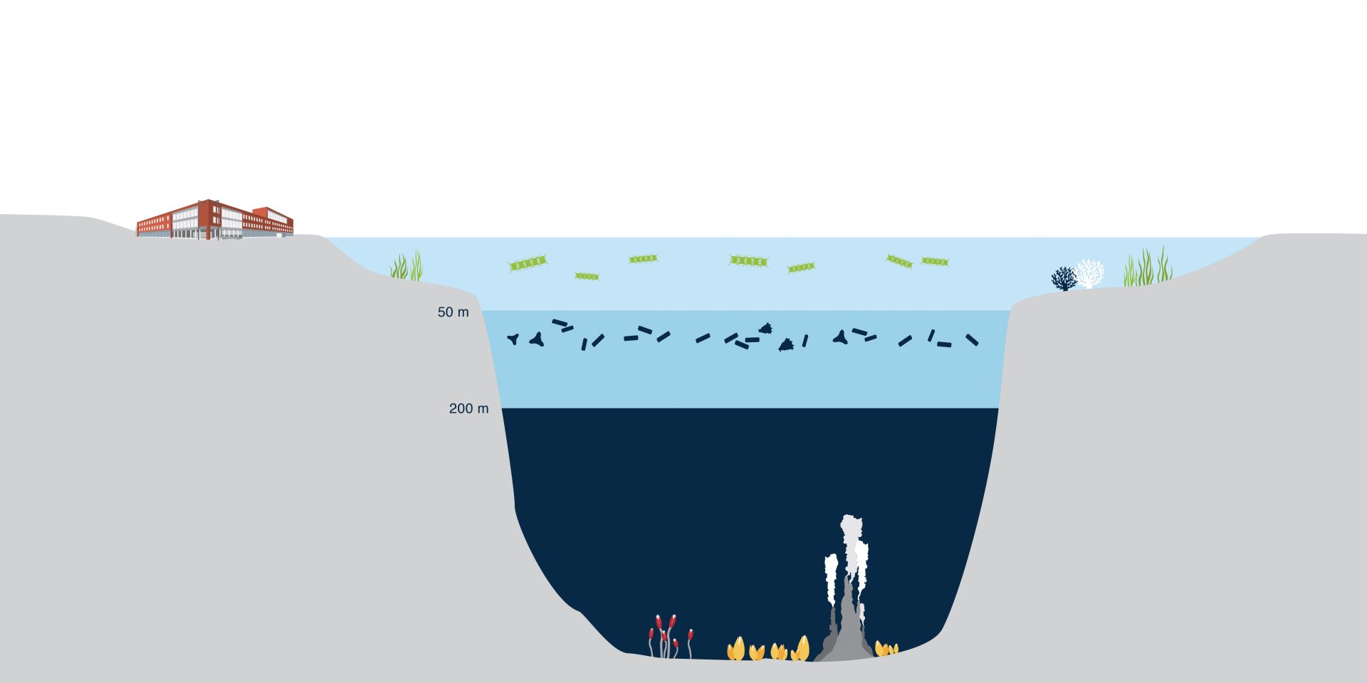 Infografik - Was wir forschen