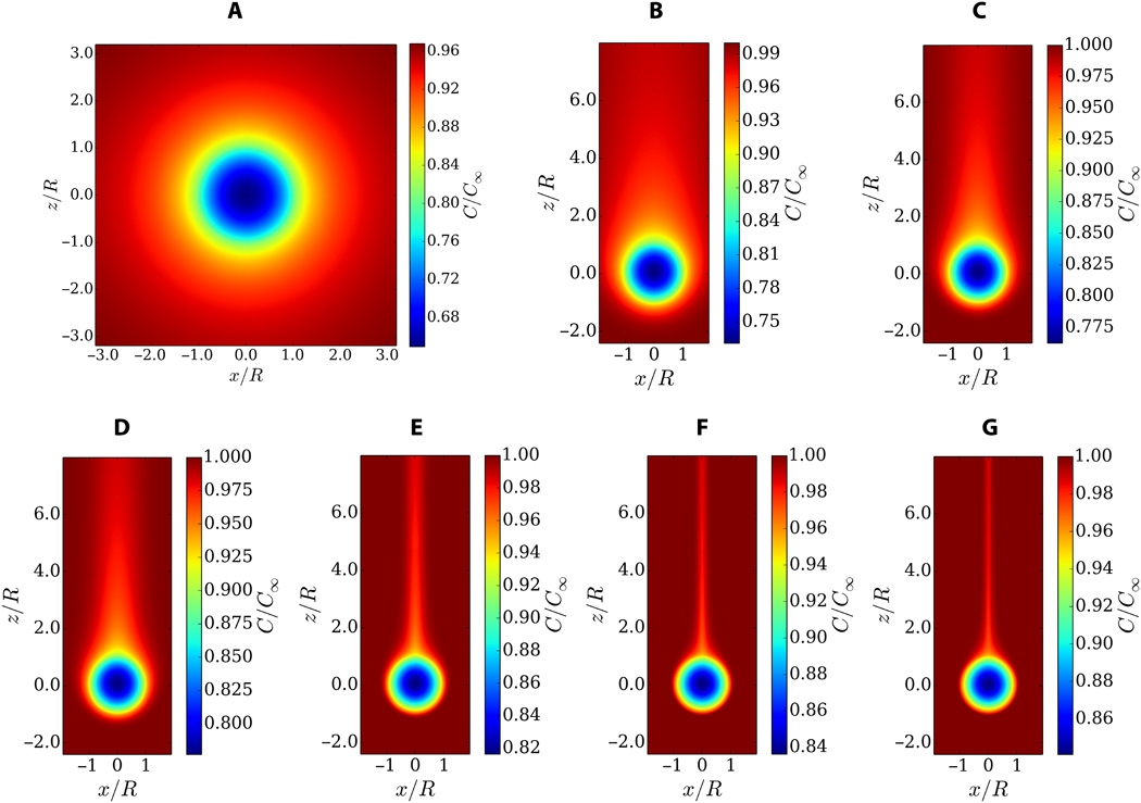 Grafik Science Advances