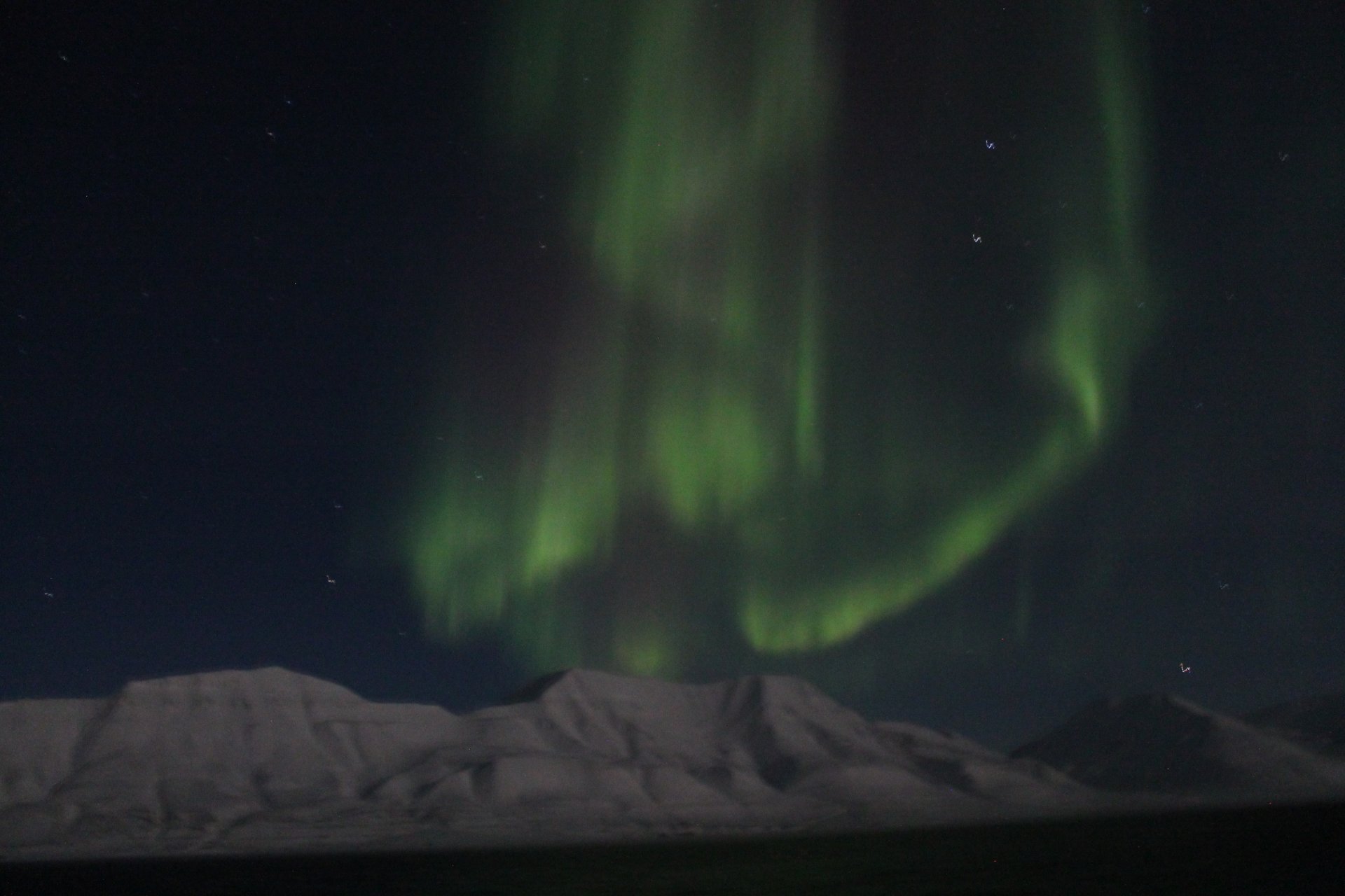 Rudolf Amann, Kathrin Büttner, Katrin Knittel, Sebastian Miksch und Jörg Wulf in Longyearbyen auf Spitzbergen