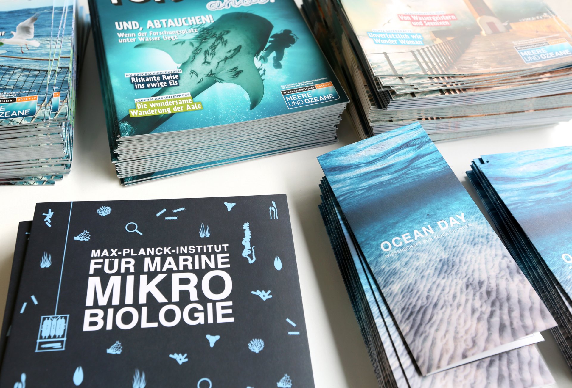 Informationsmaterial (© Max-Planck-Institut für Marine Mikrobiologie/A. Esken)