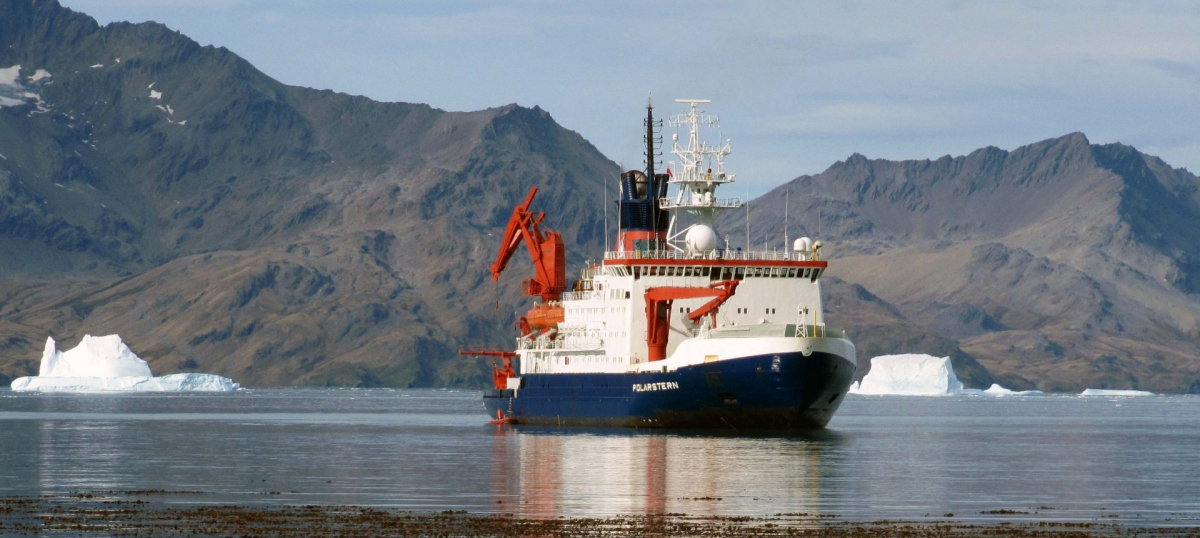 Polarstern in der Cumberland Bucht Süd-Georgiens. Foto: vdl