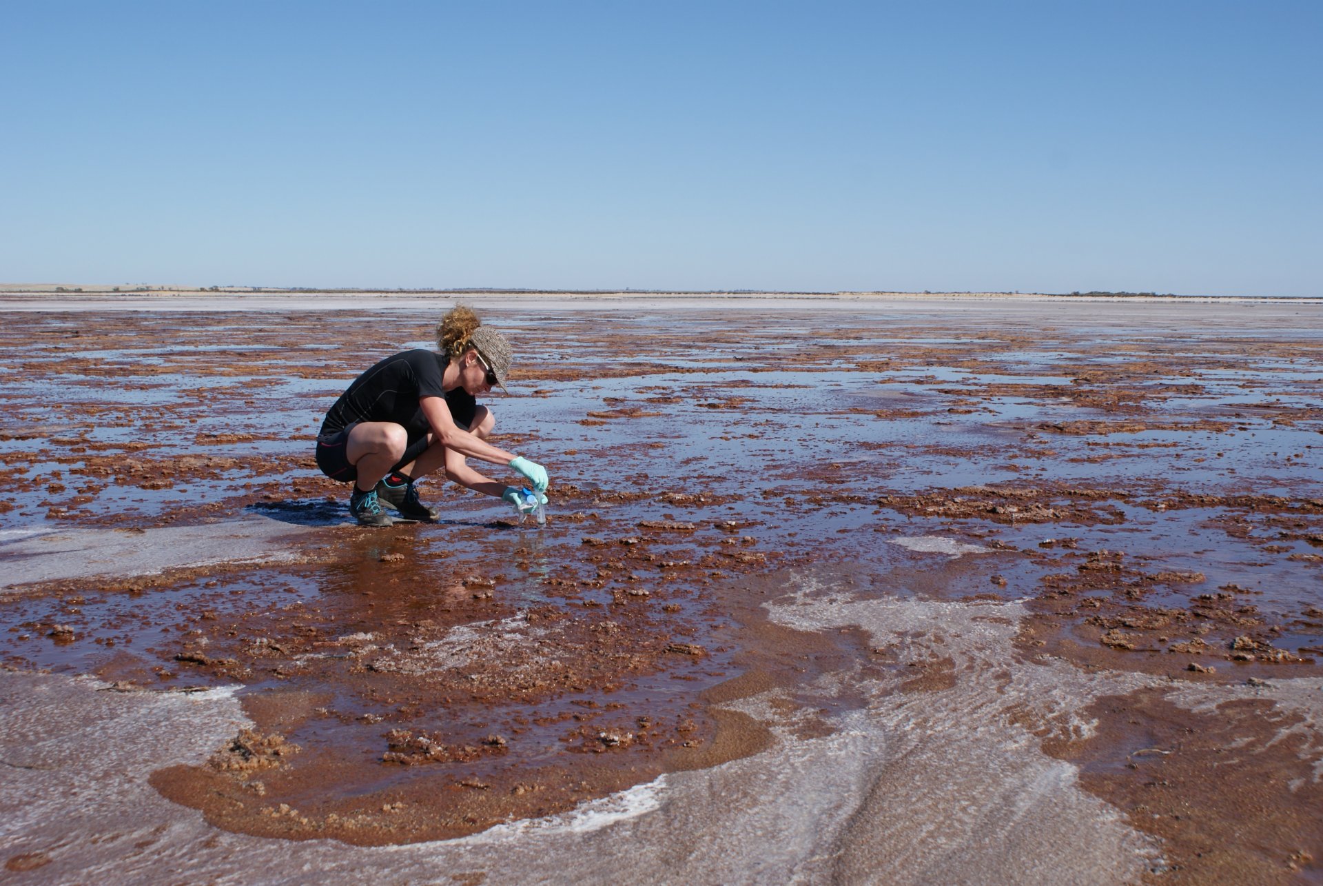 Susanne Erdmann auf der Suche nach Archaeen-Viren an einem Salzsee in Australien (© Susanne Erdmann) 
