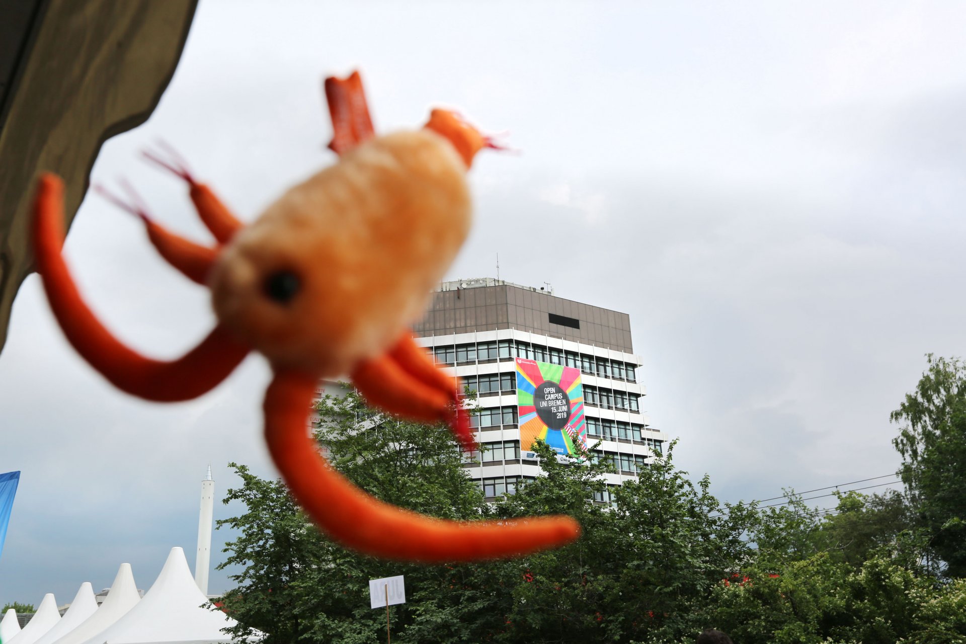 Eines unserer Mikroben-Kuscheltiere vor dem Open Campus- Banner an der Universität. ©Max-Planck-Institut für Marine Mikrobiologie, Bremen