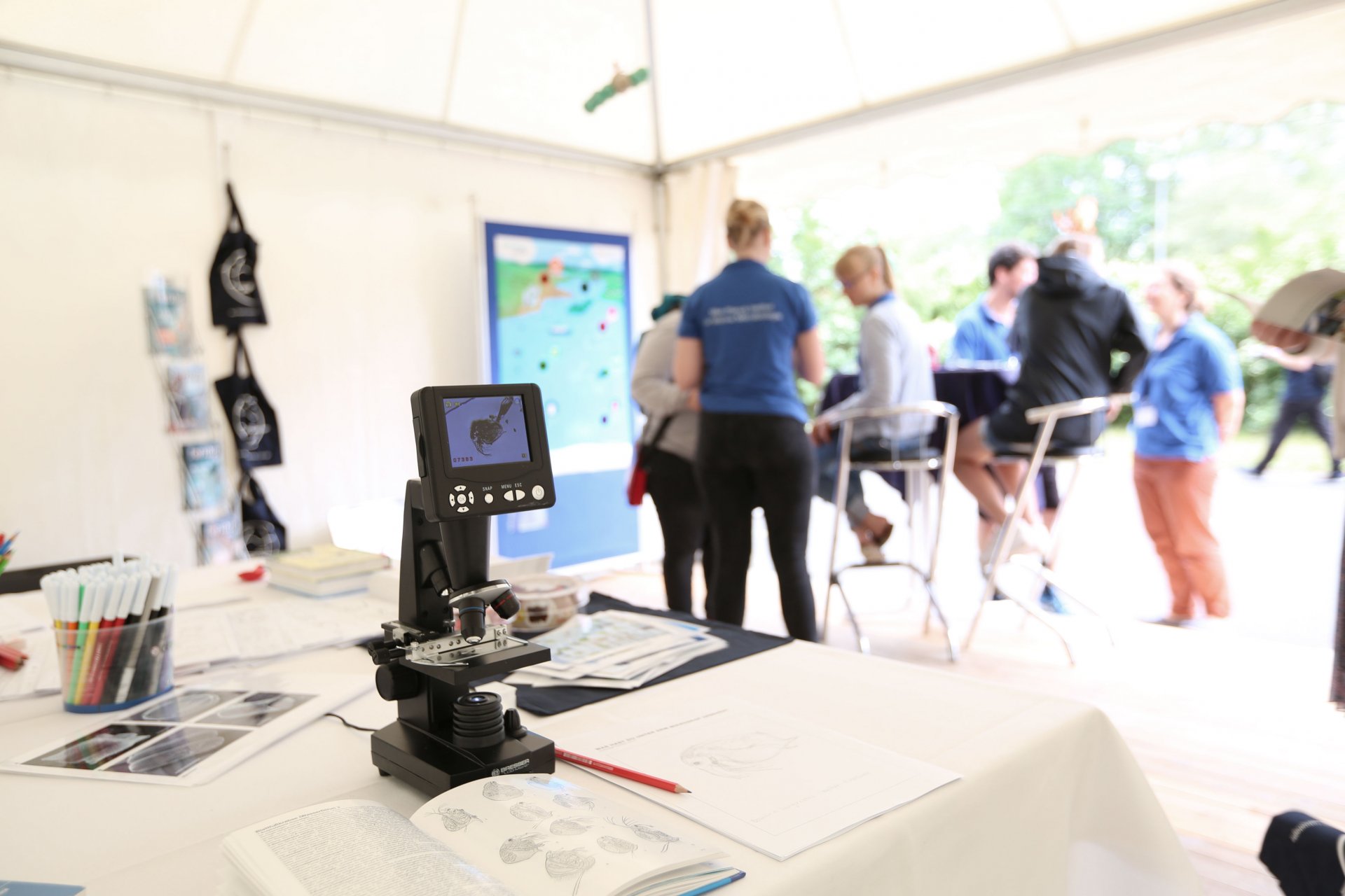 Einblicke in unsere Pagode am Open Campus 2019.  ©Max-Planck-Institut für Marine Mikrobiologie, Bremen