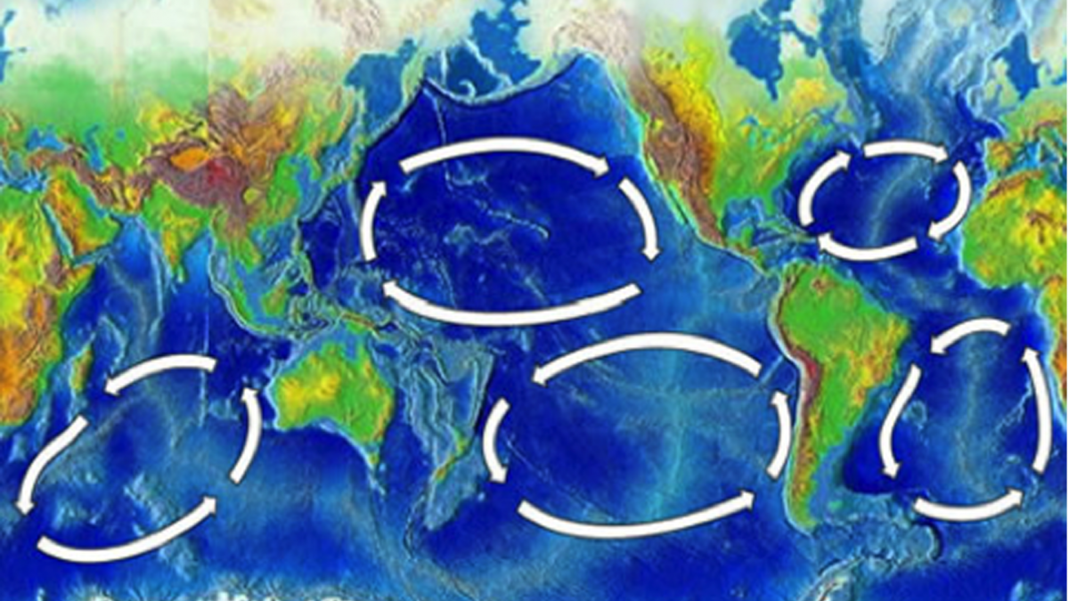 There are five major ocean-wide gyres—the North Atlantic, South Atlantic, North Pacific, Indian, and South Pacific Ocean Gyre. (© NOAA)