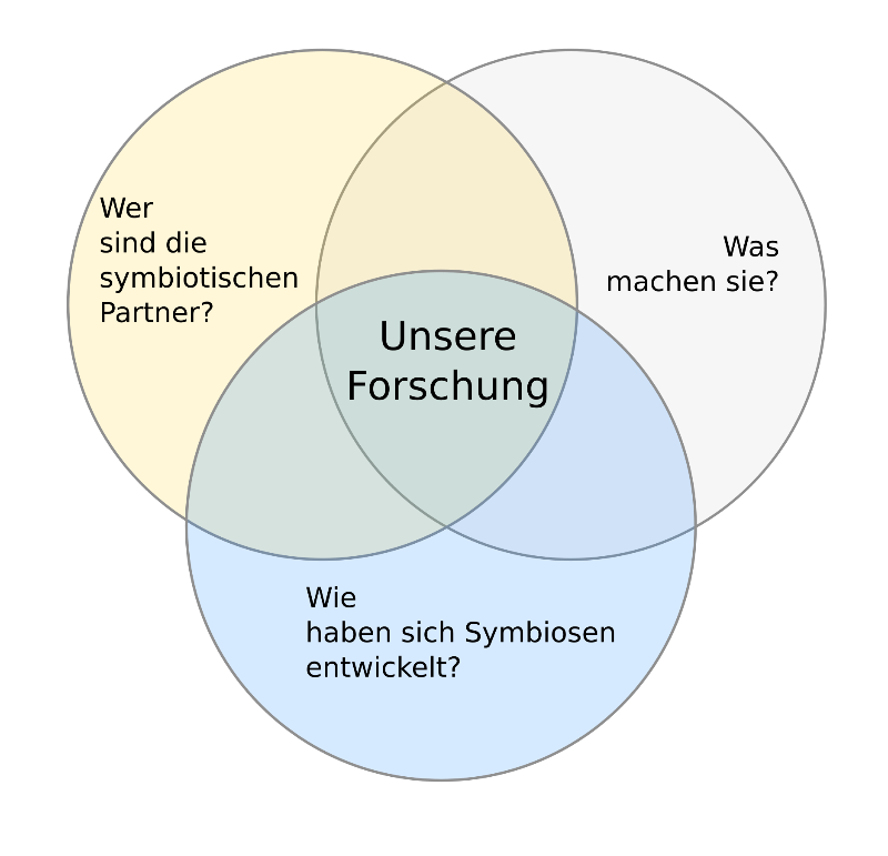 Unsere Forschung