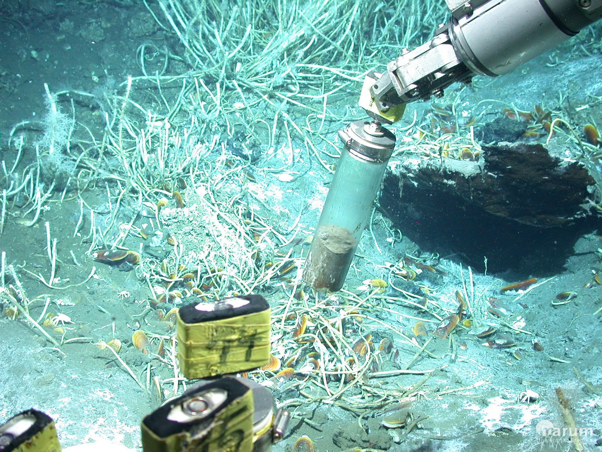 The submersible vehicle MARUM-QUEST samples for sediment at oil seeps in the Gulf of Mexico. (© MARUM – Centre for Marine Environmental Sciences)