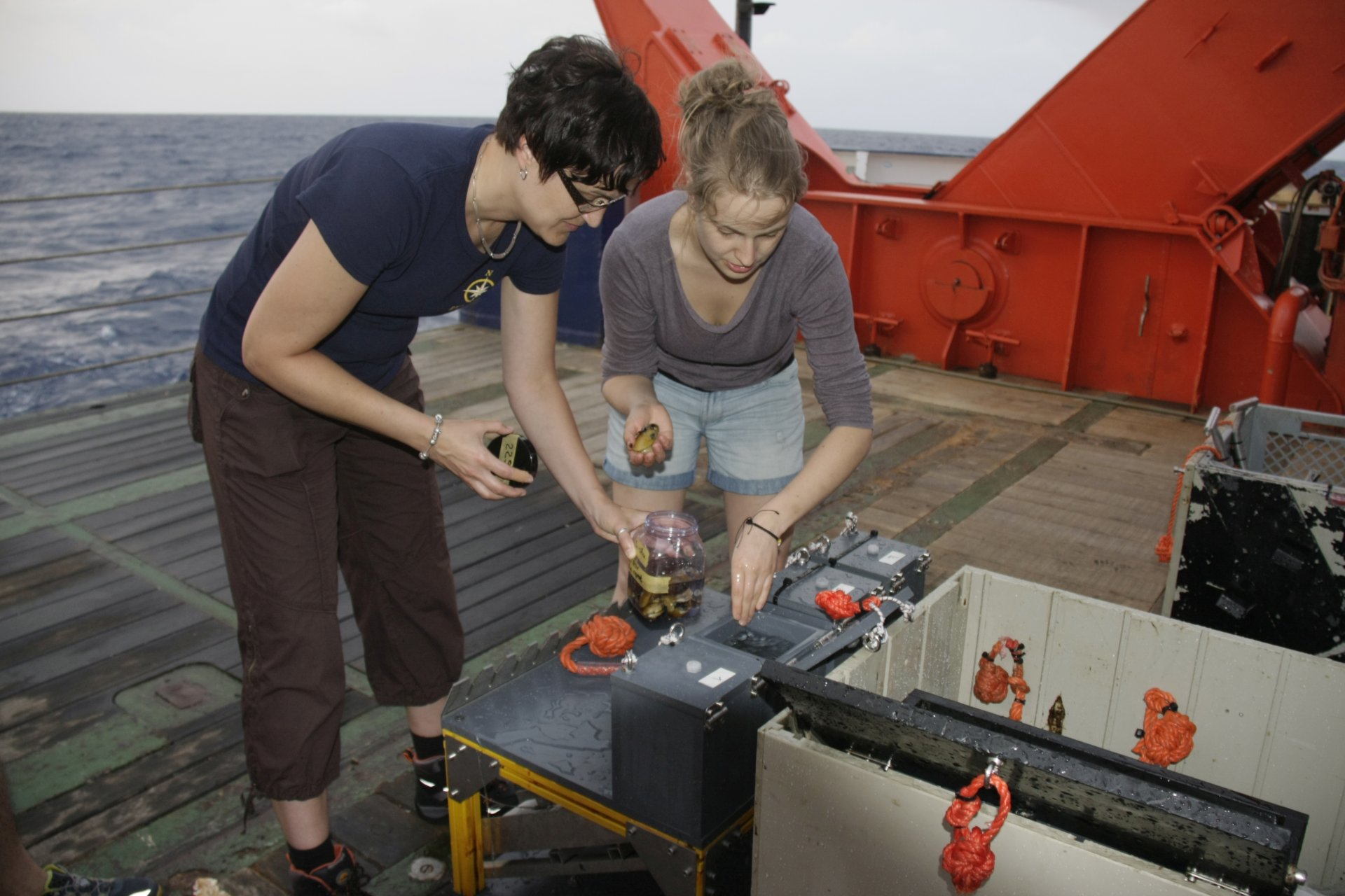 Rebecca Ansorge und Technikerin Silke Wetzel entnehmen Proben von Bathymodiolus-Muscheln, die der Tauchroboter ROV MARUM-QUEST gesammelt und an Bord gebracht hat. (© Max-Planck-Institut für Marine Mikrobiologie, C. Borowski)