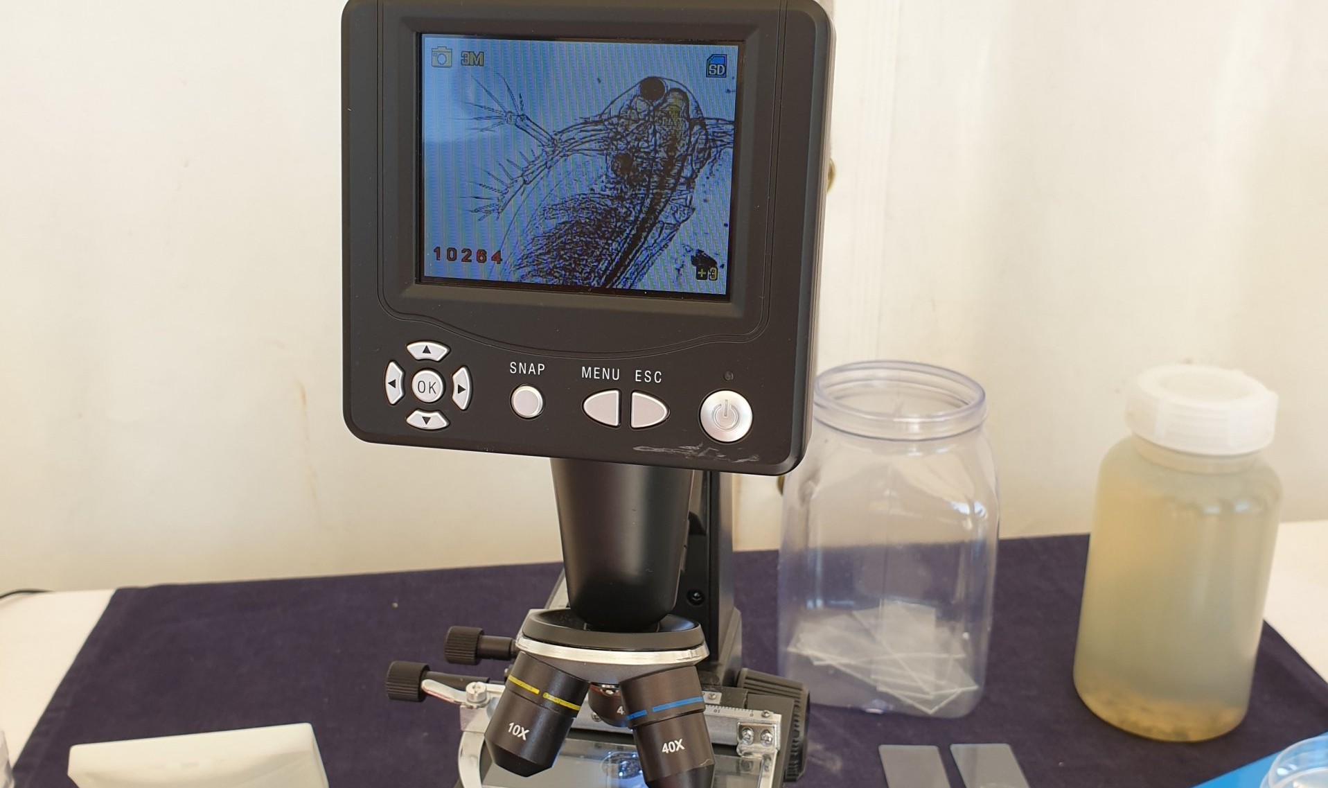 Forschungsmeile 2019 (© Max-Planck-Institut für Marine Mikrobiologie / K. Matthes) Forschungsmeile 2019 (© Max-Planck-Institut für Marine Mikrobiologie / K. Matthes)