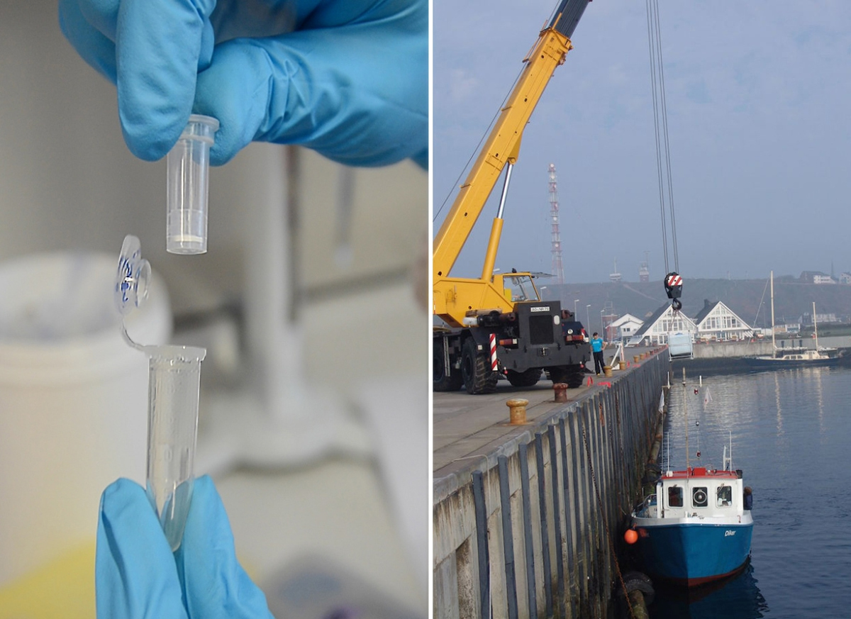 Die mikrobielle Forschung erstreckte sich von der Aufklärung molekularer Prinzipien im Labor bis zum Nachweis ihrer Bedeutung im marinen Ökosystem. (©  Max-Planck-Institut für Marine Mikrobiologie / Gunnar Gerdts)