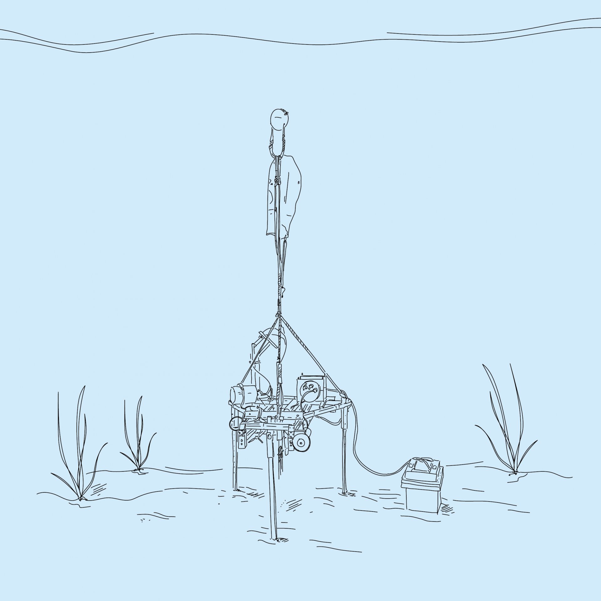 Unter Wasser (© Max-Planck-Institut für Marine Mikrobiologie, A. Esken) Unter Wasser (© Max-Planck-Institut für Marine Mikrobiologie, A. Esken)