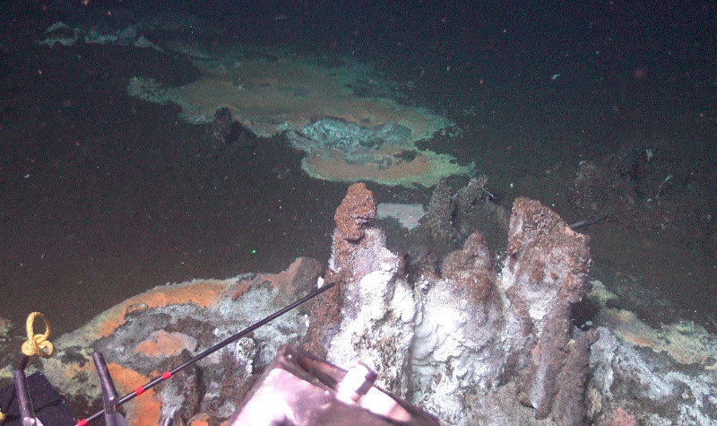 View from Alvin at 2000 m depth. In the front a smeker with white gelatenous mats of Arcobacter, in the background a large Beggiatoa mat. The beggiatoa is indeed reddish in the middle and white on the outside. These are two different species. View from Alvin at 2000 m depth. In the front a smeker with white gelatenous mats of Arcobacter, in the background a large Beggiatoa mat. The beggiatoa is indeed reddish in the middle and white on the outside. These are two different species.